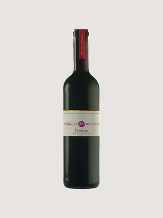 2019 Escherndorfer Fürstenberg Domina Qualitätswein trocken