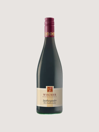Spätburgunder Qualitätswein trocken | 2021