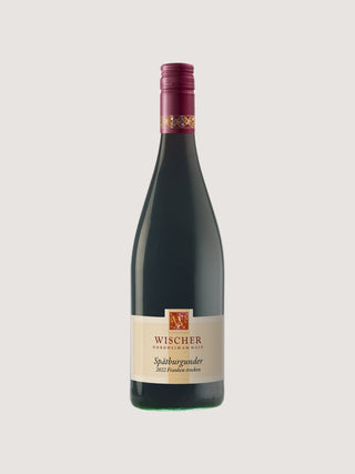 Spätburgunder Qualitätswein trocken | 2022
