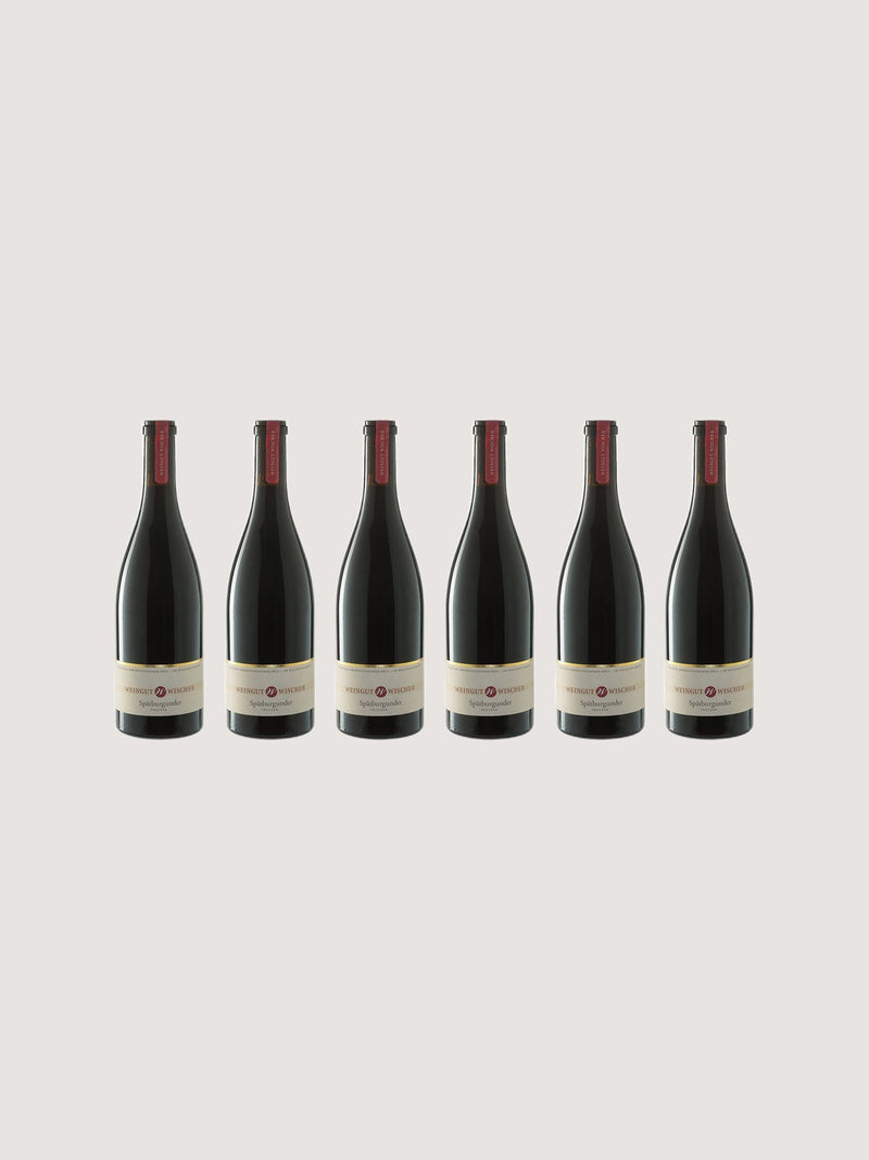 Wein-Paket 