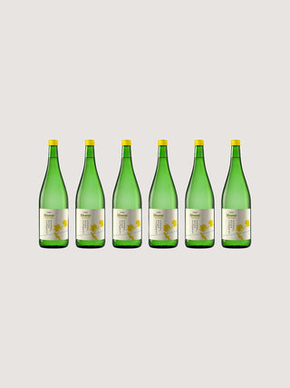 Wein-Paket 