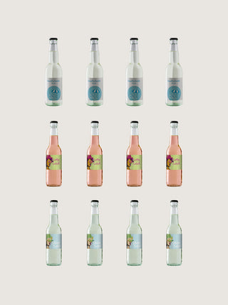 Sommer-Genuss – 12 Weinschorlen im Sommerpaket (versandkostenfrei)